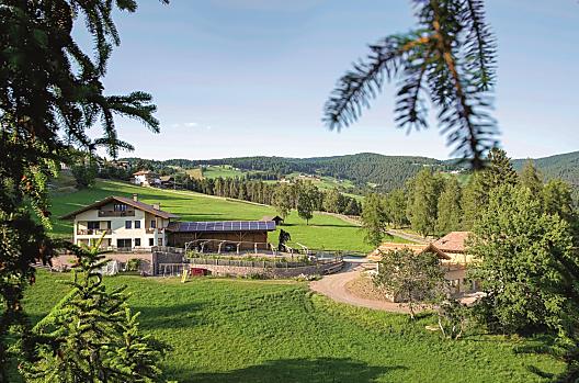Obertimpflerhof - List Photo