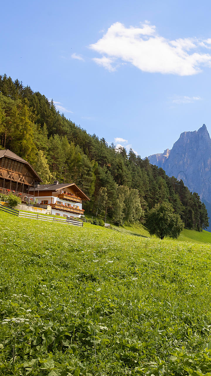 Urlaub auf dem Bauernhof mit Ferienwohnungen in Südtirol - Roter Hahn