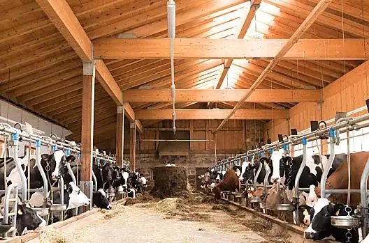 Wieserhof - list Photo