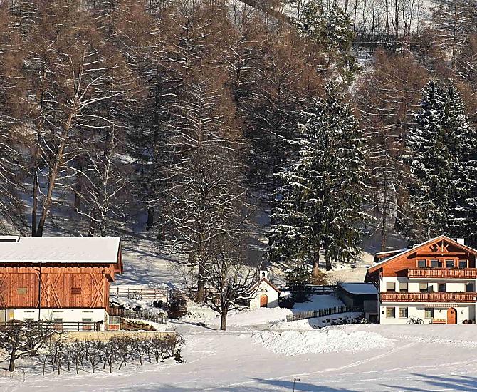 Felderhof - Photo gallery Photo