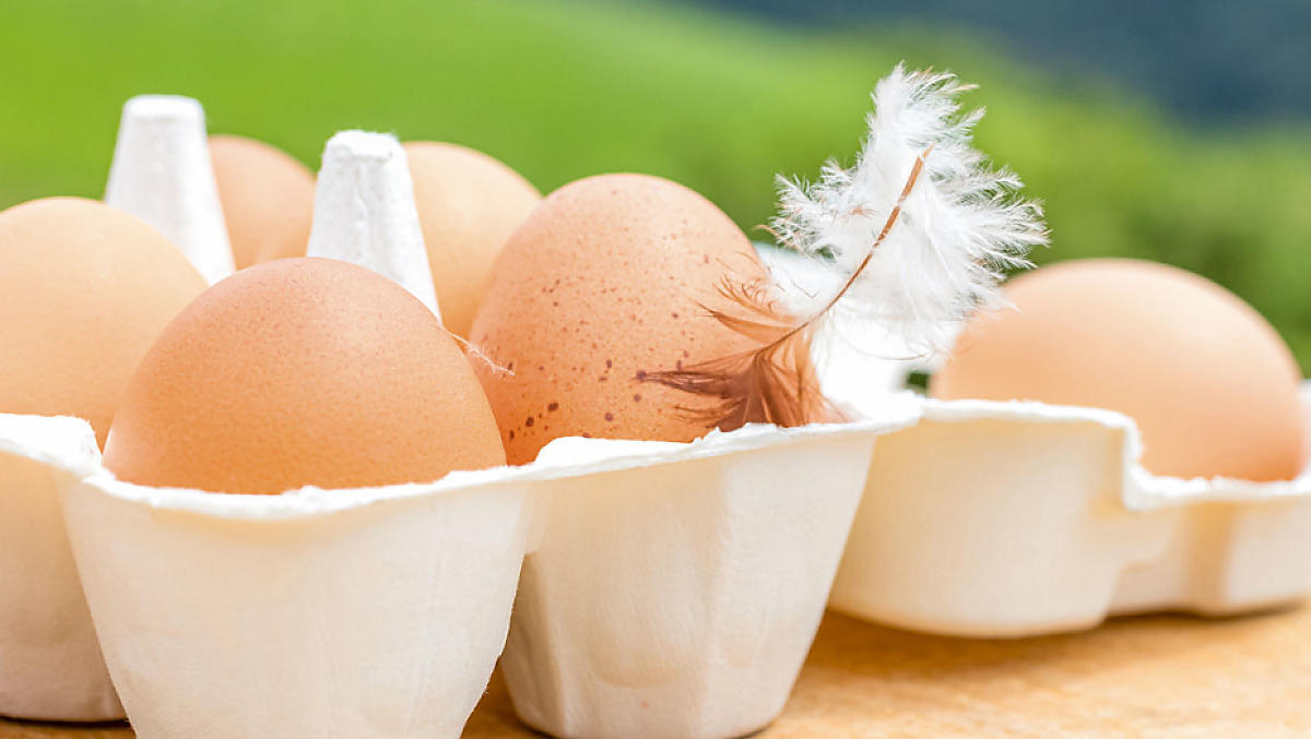 Eier von glücklichen Hühnern