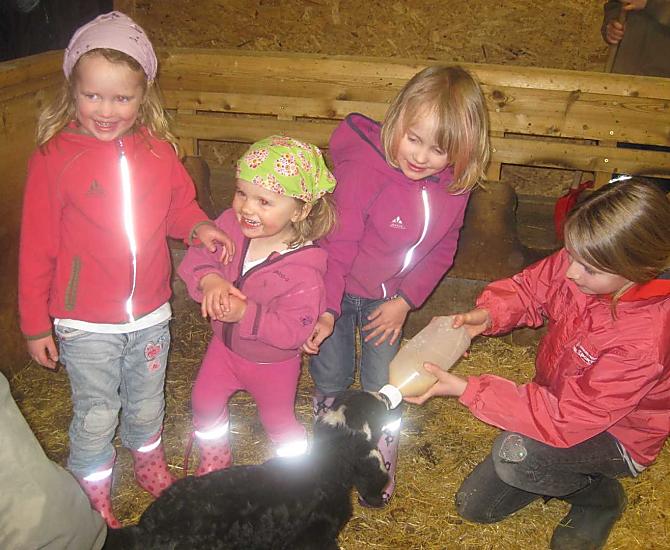 Die Helfer bei der Fütterung der kleinen Kitze und Lämmchen