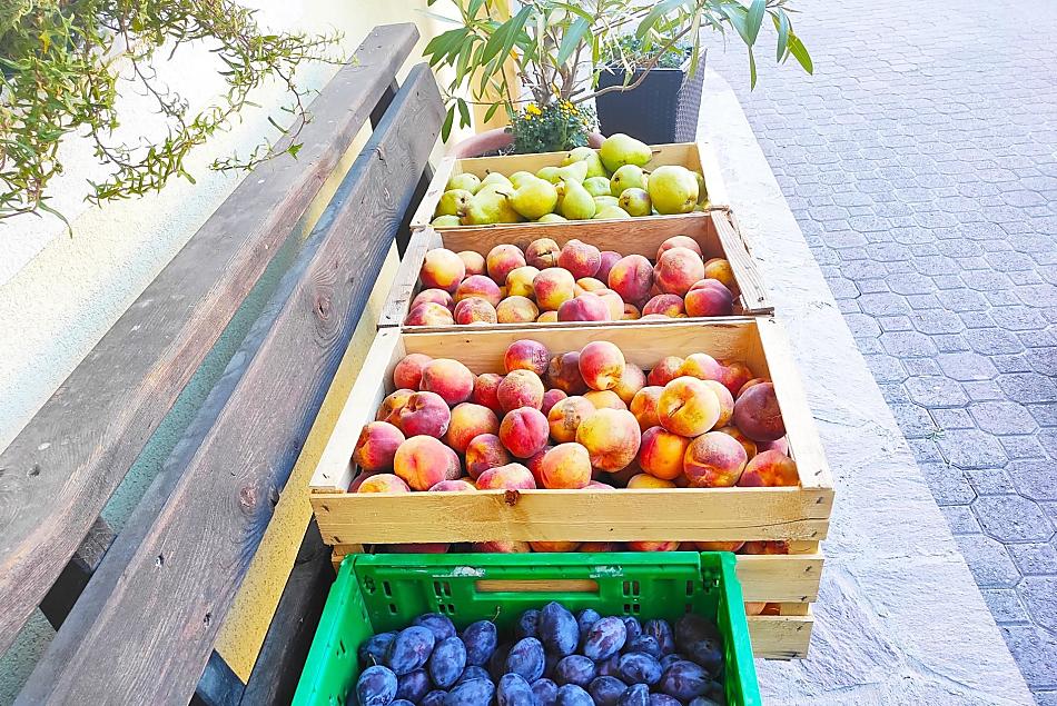 Obst vom Hof 