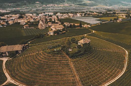 Weingut Baron Longo  - List Photo