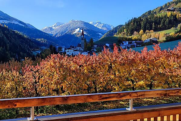Ausblick in den Kirschgarten und ins Dorf St. Pankraz 