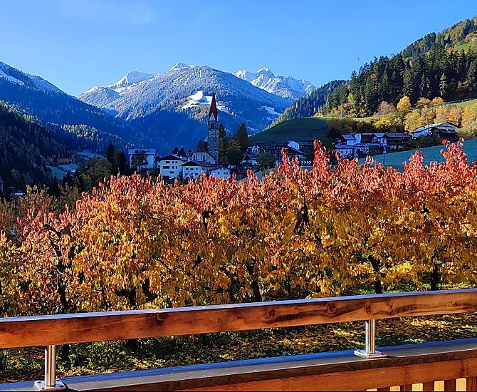 Ausblick in den Kirschgarten und ins Dorf St. Pankraz 