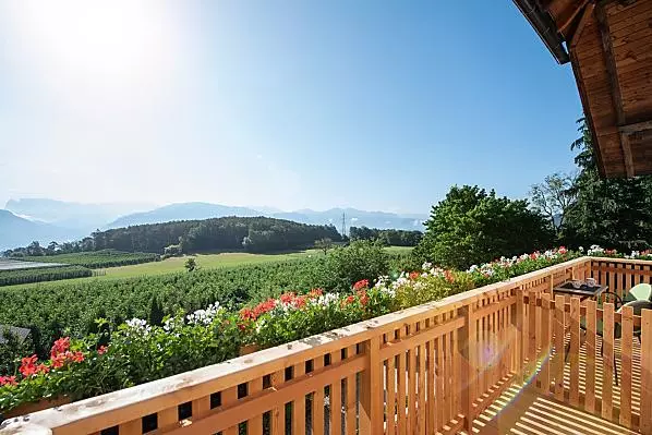Schmalzerhof - Rooms & apartments Photo