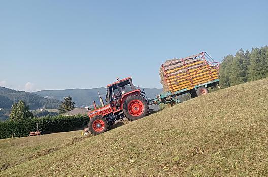 Hay harvest