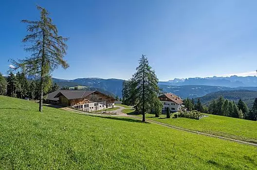 Our Stücklhof amidst countryside and views of the mountains.
