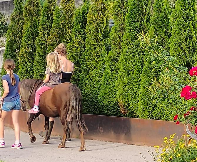 Striegeln, putzen und erste Reitversuche auf unserem Hof