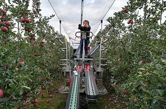 Unser Jungbauer hilft auch schon brav mit bei der Ernte