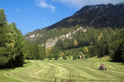 Heuschnitt