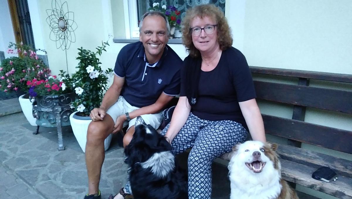 Unsere Hofhunde lassen sich sehr gerne von den Gästen verwöhnen.