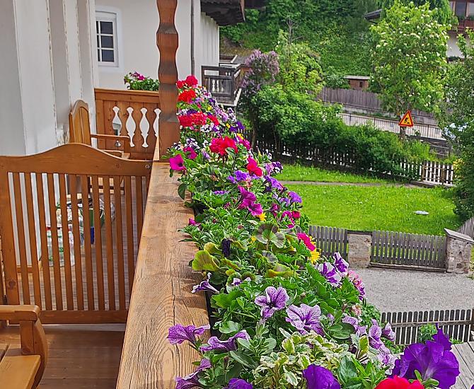 Ausserschrafflerhof - Photo gallery Photo