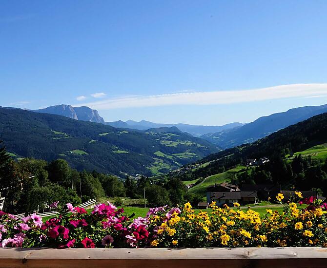 Steierhof - Photo gallery Photo