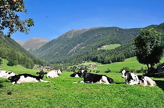 Leimgruberhof - list Photo