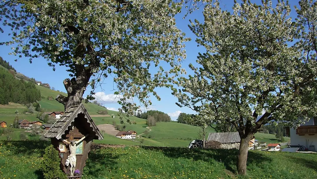 Leimgruberhof - Photo gallery Photo