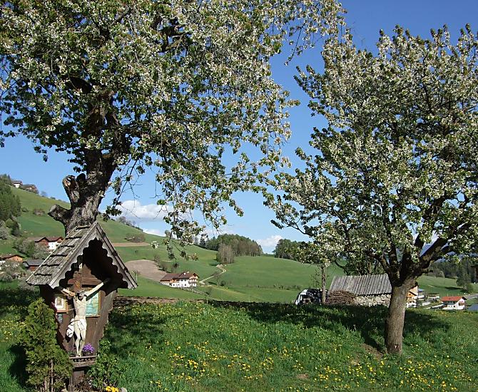 Leimgruberhof - Photo gallery Photo