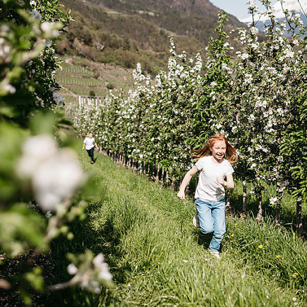 Bleib stehen, wenn der Ochs sich umdreht!