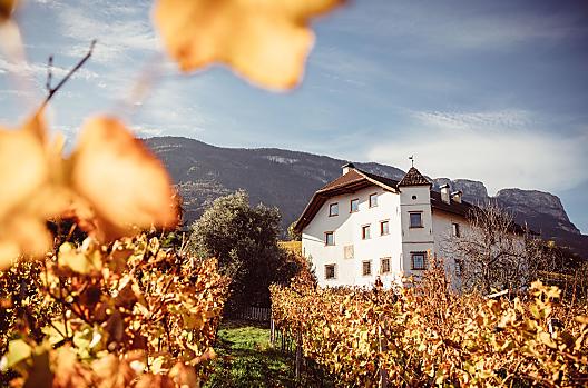 Weinhof Von Payr - List Photo