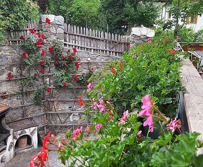 Hof am Schloss - Photo gallery Photo