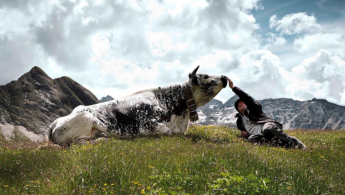 Christlrumerhof - gallery Photo