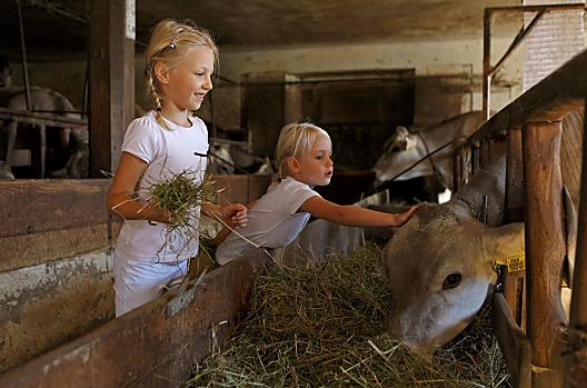 Verlotthof - list Photo