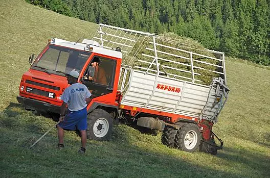 Das Heu wird eingebracht