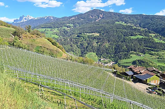 Obergostnerhof - List Photo