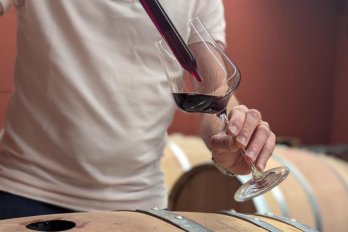 Der Merlot reift 2 Jahre im Barrique