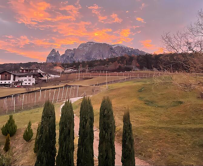 Ausblick