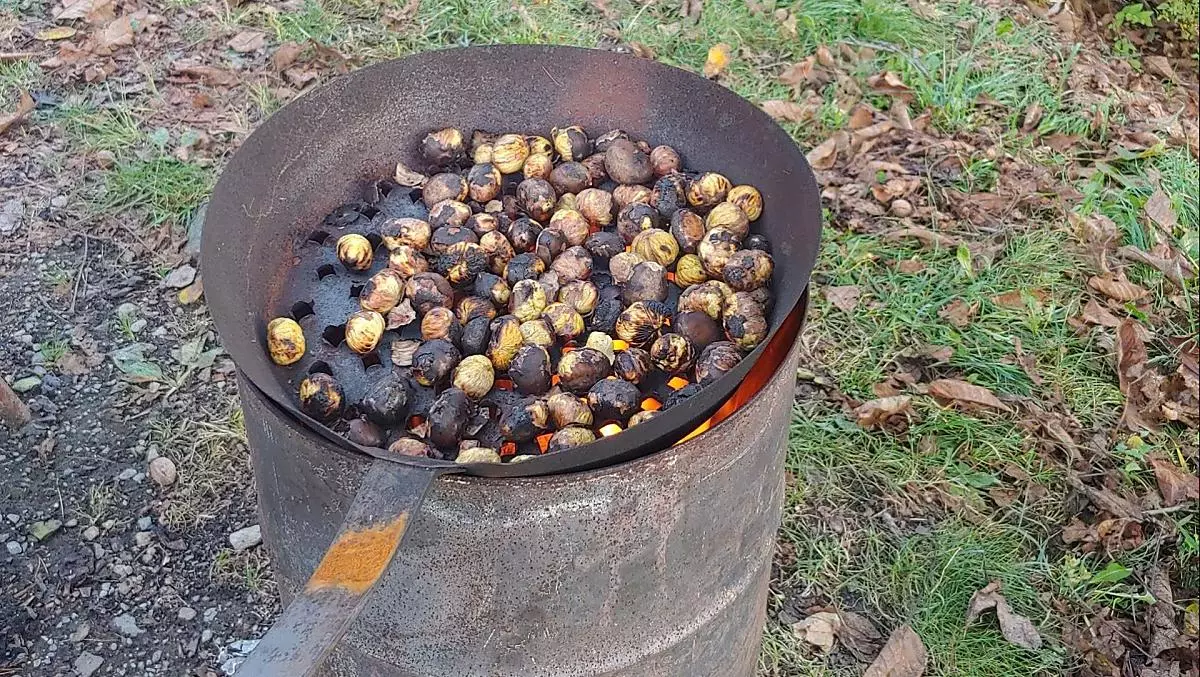 Roasting chestnuts