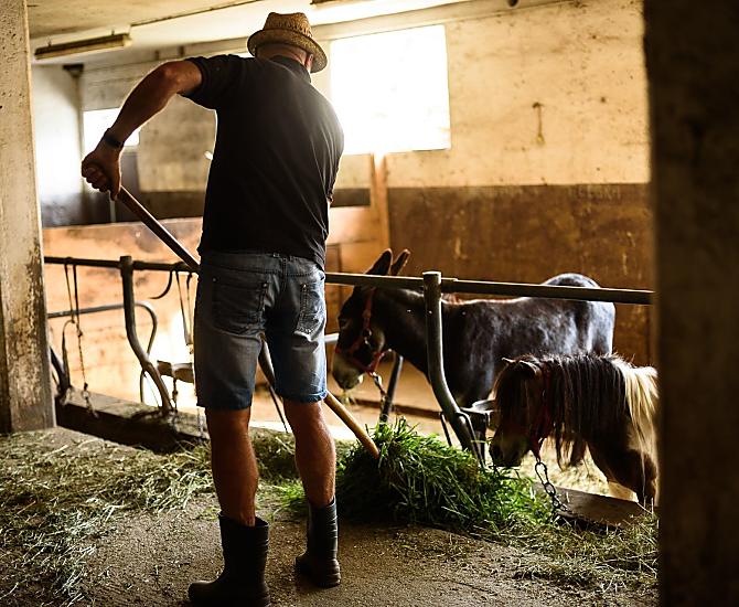 Farmer Sepp