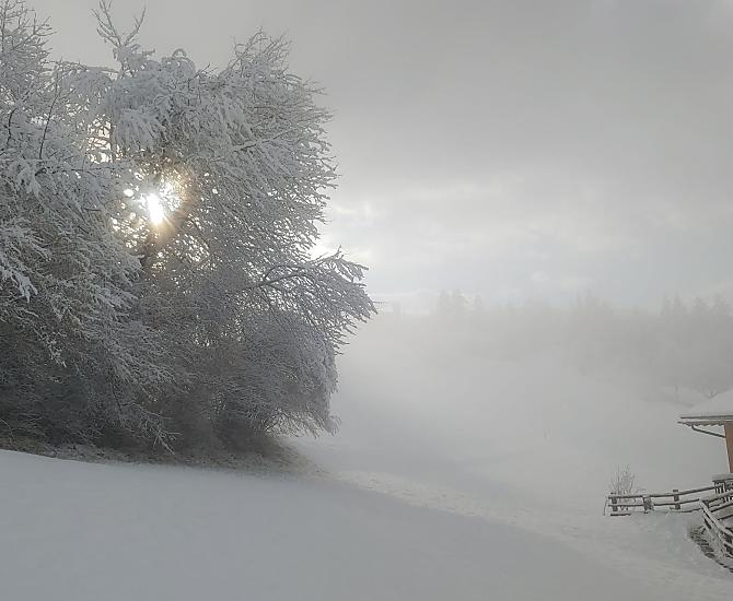 Unterplattner - gallery Photo