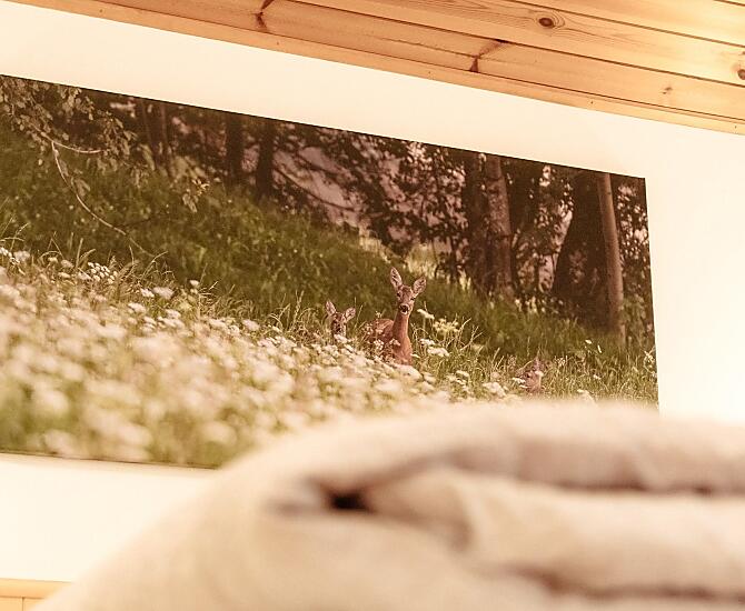 Kleineggerhof - gallery Photo