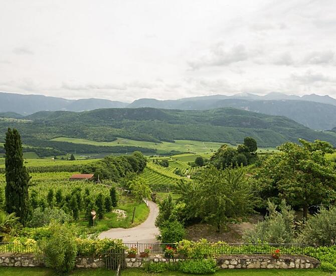 Weingut Lieselehof - gallery Photo