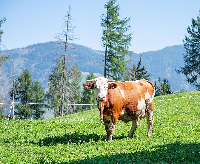 BioHeumilch