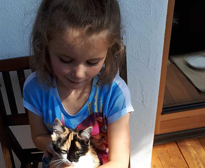 'Sissibel' the cat