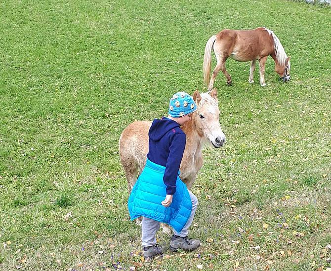 Zwiglhof - gallery Photo