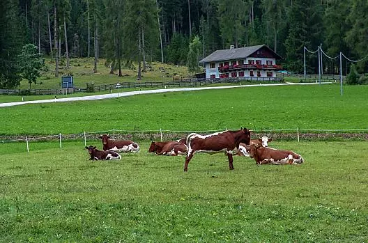 Roderhof - list Photo