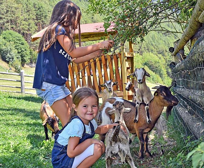 Mit Ziegen auf Streichelkurs! Lernen Sie den fantastischen Umgang mit diesen Tieren kennen, Julia und Leonie sind dabei!