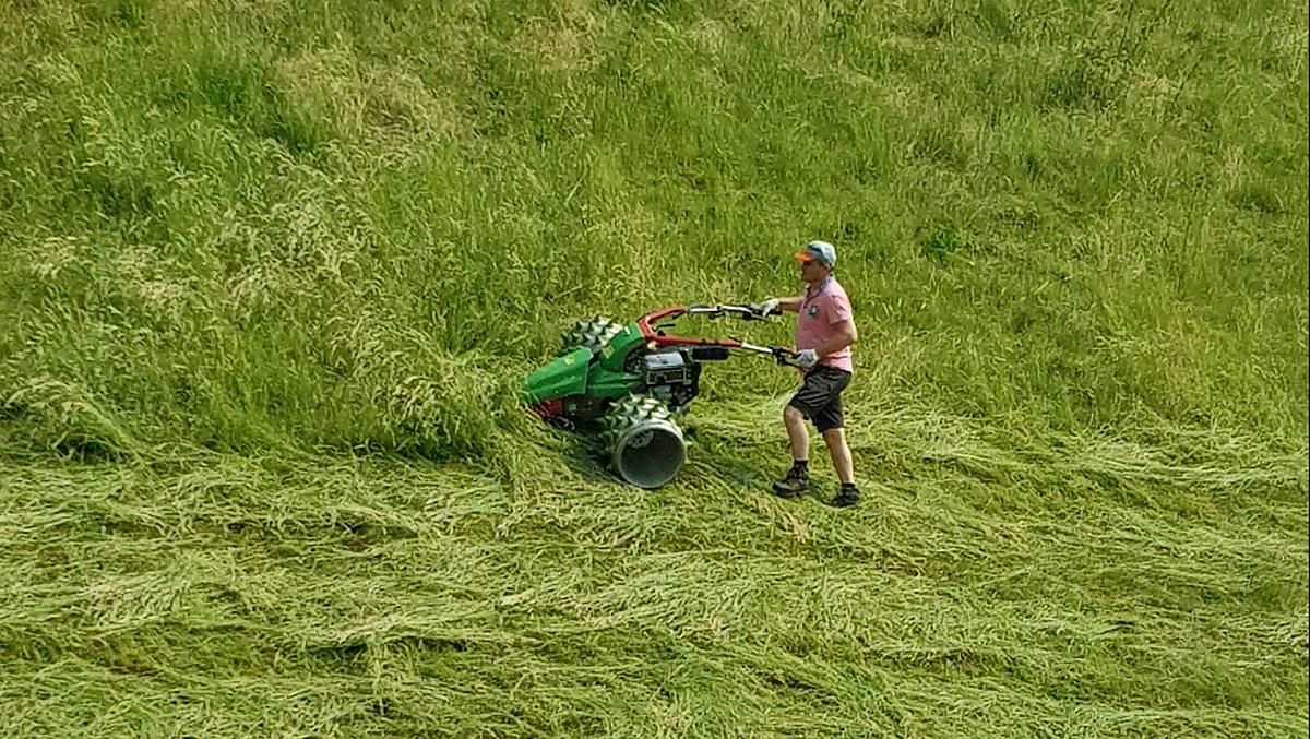Gastgeber und Bauer Herbert mäht das Gras auf unseren steilen Bergwiesen mit der Stachelwalzen-Mähmaschine.