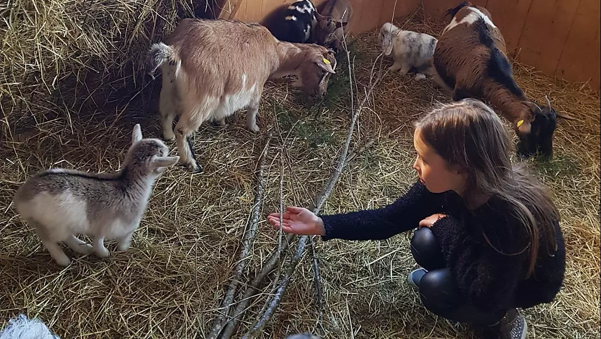 Unsere Julia ist wie wir auch, um das Wohl der Tiere sehr bemüht: Geht es dem Nachwuchs gut? Ist der Stall sauber? Ist genug Futter da?