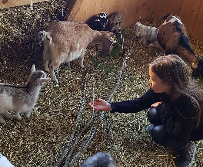 Unsere Julia ist wie wir auch, um das Wohl der Tiere sehr bemüht: Geht es dem Nachwuchs gut? Ist der Stall sauber? Ist genug Futter da?