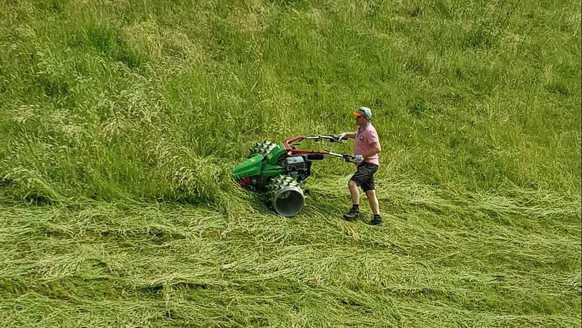 Host and farmer Herbert mows the grass on our steep mountain meadows with a spiked roller mower.