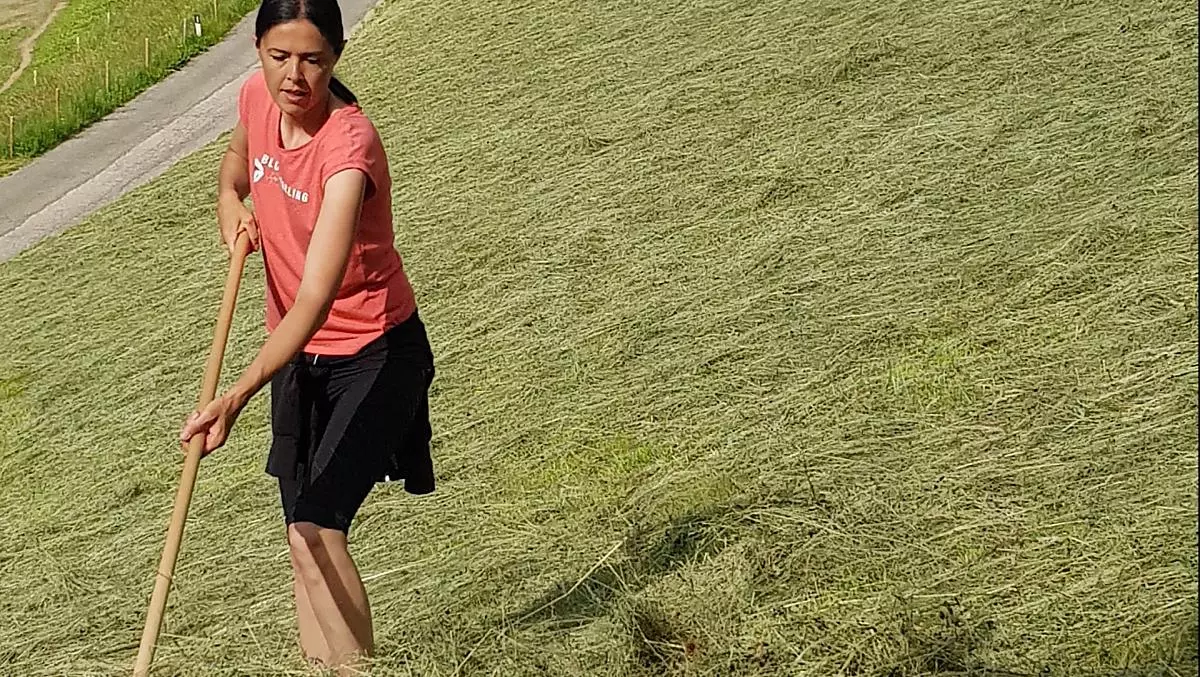 Your hostess Andrea bringing in the hay in steep and difficult-to-reach places.