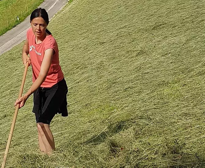 Your hostess Andrea bringing in the hay in steep and difficult-to-reach places.