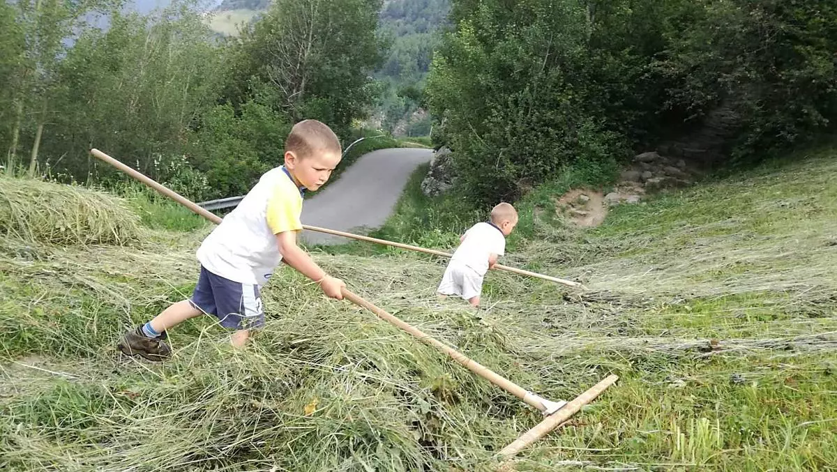 Die Jungs beim Heu rechen