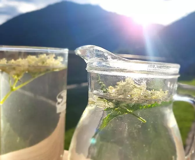 Holundersirup