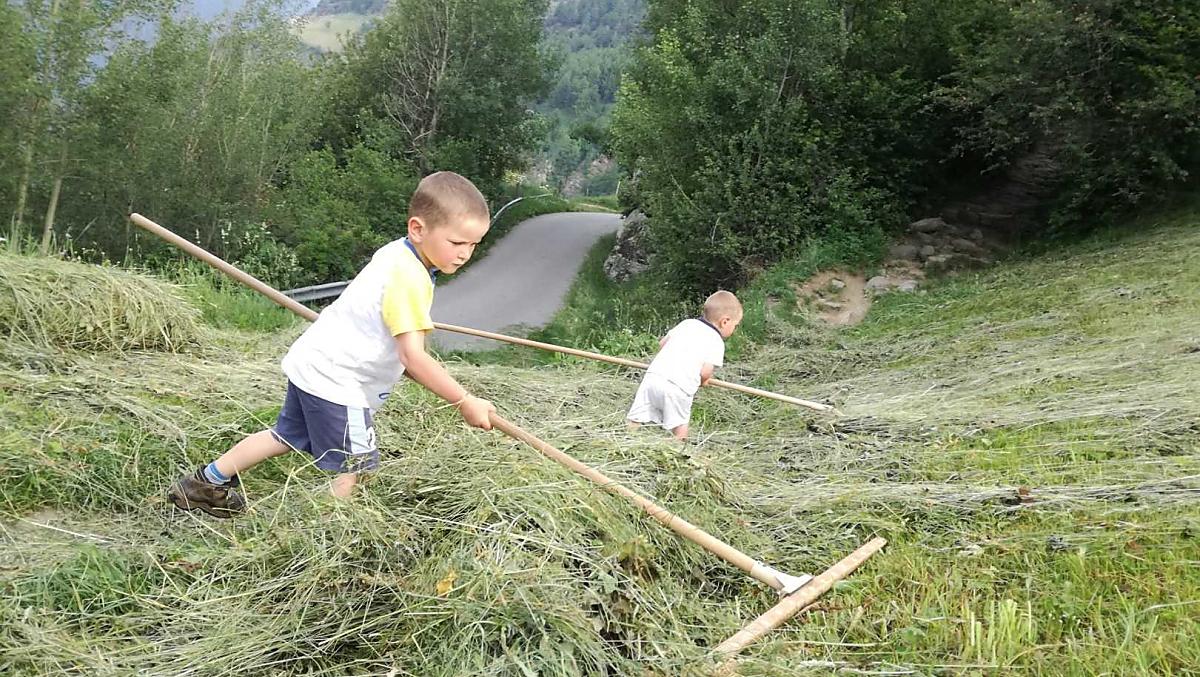 The boys raking the hay
